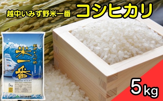 越中いみず野米一番 5kg（コシヒカリ） ※2024年10月上旬～2025年8月下旬頃に順次発送予定