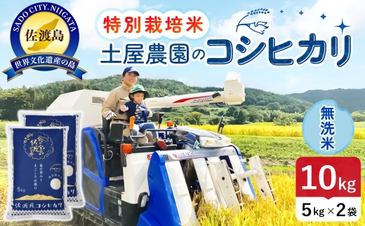 佐渡島産コシヒカリ 無洗米 10kg 令和8年産 特別栽培米 土屋農園 | 新潟県産コシヒカリ 新潟産コシヒカリ 佐渡産コシヒカリ 新潟県産こしひかり 佐渡産こしひかり お米 米 こしひかり 無洗米 むせんまい 精米 おこめ コメ 10キロ にいがた さど 新潟県 佐渡市