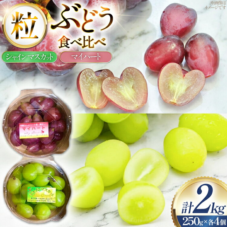 【ふるさと納税】 【期間限定発送】 ぶどう 食べ比べ シャインマスカット マイハート 250g 各4個 計8個 2kg セット [治右衛門果樹園 山形県 高畠町 tk06ays830014] ブドウ 葡萄 詰め合わせ セット 山形 フルーツ 果物 小分け 個包装 産地直送 農家直送