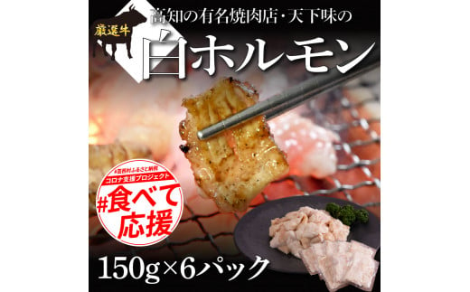 【CF-R5cbs】 白ホルモン 天下味オリジナル本格塩ダレ漬け（150ｇ×6パック） ＃食べて応援