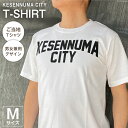 【ふるさと納税】Tシャツ 気仙沼 KESENNUMA CITY Tシャツ Mサイズ ホワイト 1枚 ご当地Tシャツ メンズ レディス 半袖 お土産 / 愛隣オフセット印刷社 / 宮城県 気仙沼市 レビューキャンペーン