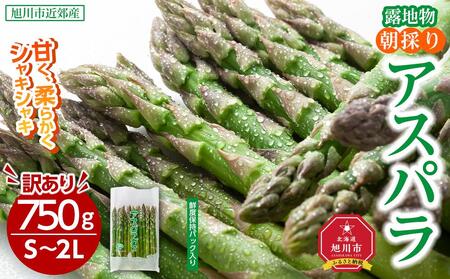 【2025年発送先行予約】【訳あり】露地物朝採りアスパラ 750g×1 　鮮度保持フィルム入り 【 アスパラ アスパラガス 朝採り とれたて 野菜 旬 小分け 保存 産直 産地直送 お取り寄せ 旭川市 北海道 】_04751