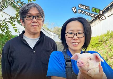 北海道産牛と笹豚の煮込みハンバーグ250g×6個セット | ハンバーグ _00121