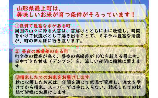 令和7年産　山形県産 特別栽培米 つや姫10kg (5㎏×2袋) 令和7年産 山形県産 特別栽培米 つや姫10kg (5㎏×2袋)