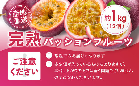 【2026年夏発送】パッションフルーツ (1kg12個入り化粧箱入) 2026年6月～出荷開始 | パッションフルーツ