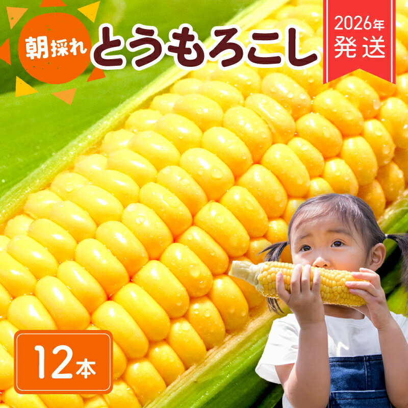 【ふるさと納税】 2026年 先行予約 とうもろこし 12本 コーン スイートコーン 生 黄色 新鮮 ジューシー 旬 野菜 やさい 夏野菜 朝採り とうきび BBQ バーベキュー 炊き込みご飯 数量限定 季節限定 送料無料 産地直送 冷蔵 千葉県 旭市 株式会社はなわ農園