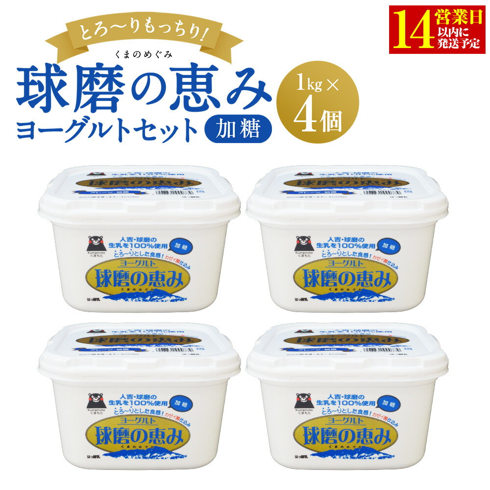 【ふるさと納税】球磨の恵みヨーグルトセット 送料無料 ヨーグルト 乳製品 乳酸菌 健康 免疫力 加糖1kg×4個 【14営業日以内発送予定】