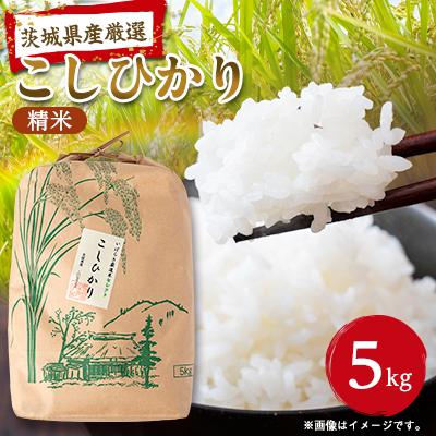 ふるさと納税 茨城県 筑波山麓産米を中心に厳選した【茨城県産こしひかり】白米5kg 令和7年産