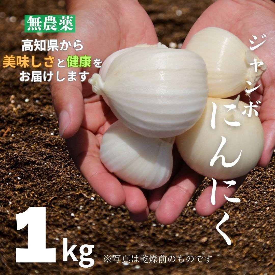 【先行予約】ジャンボにんにく 1kg 無農薬 国産 野菜 家庭用 にんにく