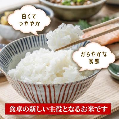 ふるさと納税 大船渡市 銀河のしずく 5kg[owada002_3] |  | 01