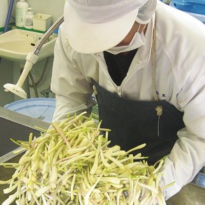 ふるさと納税 嘉手納町 島らっきょうの塩漬け300g |  | 01