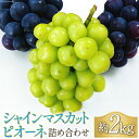 【ふるさと納税】【2025年発送】 ぶどう シャインマスカット & ピオーネ 詰め合わせ 約2kg《2025年9月前半～10月前半出荷》 [フルーツランド平賀 山梨県 韮崎市 20742835] ブドウ 葡萄 2キロ 食べ比べ 2種 フルーツ 果物 山梨県産 産地直送 期間限定 季節限定 冷蔵