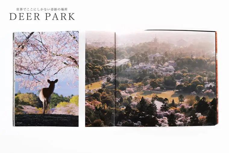 奈良の鹿 写真集「DEER PARK 世界でここにしかない奇跡の場所」奈良公園 サイン入り KAZUTO PHOTO OFFICE 佐藤和斗 I-193