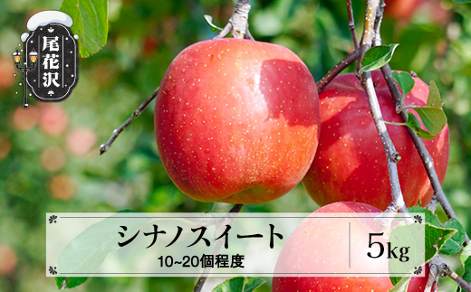先行予約 りんご シナノスイート 約5kg (10～20個程度) 秀品 10月中旬~11月中旬頃発送 令和8年産 2026年産 sb-rissx5-b