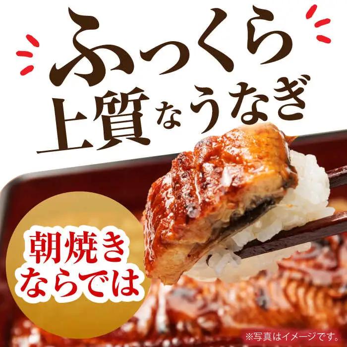 【12回定期便】朝焼きうなぎ蒲焼 4尾 / うなぎ 国産うなぎ うなぎ うなぎ蒲焼 うなぎ蒲焼き 高知県産うなぎ[ATAF091]