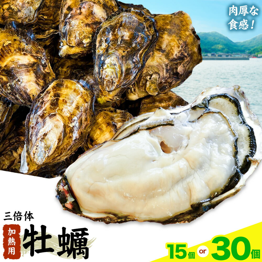 【ふるさと納税】笠岡産 牡蠣 TAKIOKAプレミアム 三倍体 (加熱用) 選べる内容量 15個 30個 《10月上旬-6月下旬頃出荷》 岡山県 笠岡市 かき カキ 牡蠣 生牡蠣 瀬戸内海産 殻付き