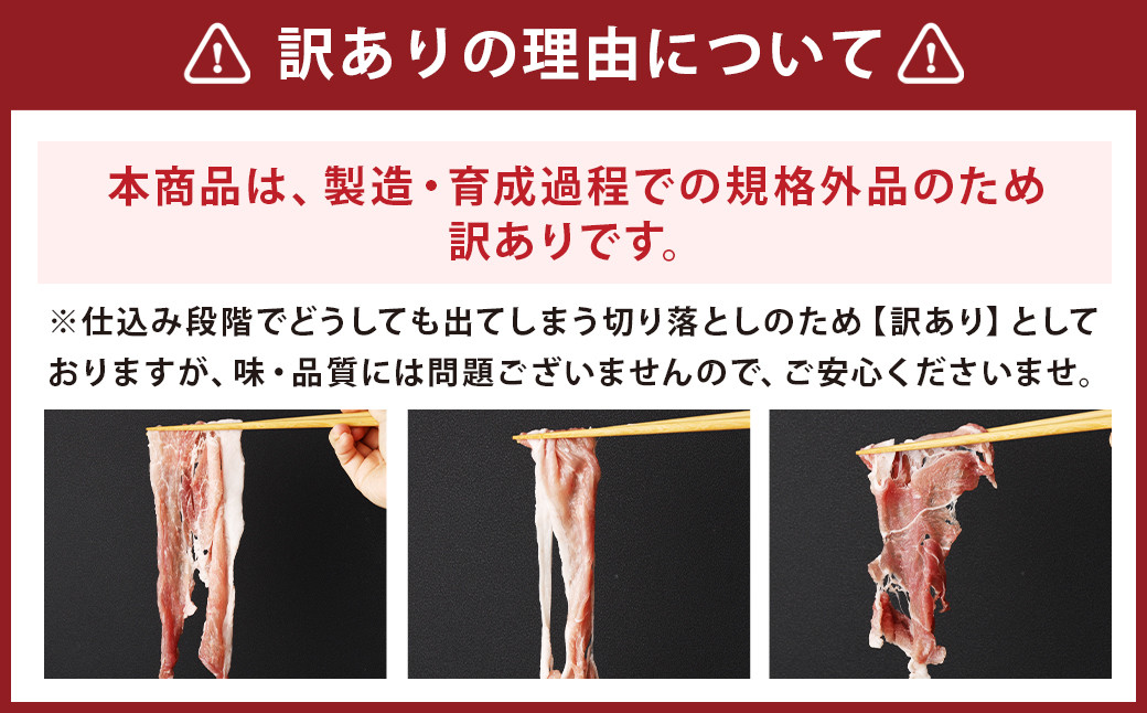 【訳あり】長崎県産「競り美豚」モモ 切り落とし 2.5kg (500g×5パック)