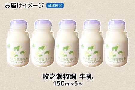 3453. 牧之瀬牧場 牛乳 150ml×5本 牛乳 牛 乳 みるくミルク ノンホモジナイズド牛乳 脂肪 放牧 濃厚 搾りたて 甘い クリーミー さっぱり 牛耳ボトル 可愛い ギフト 冷蔵 牧之瀬牧場