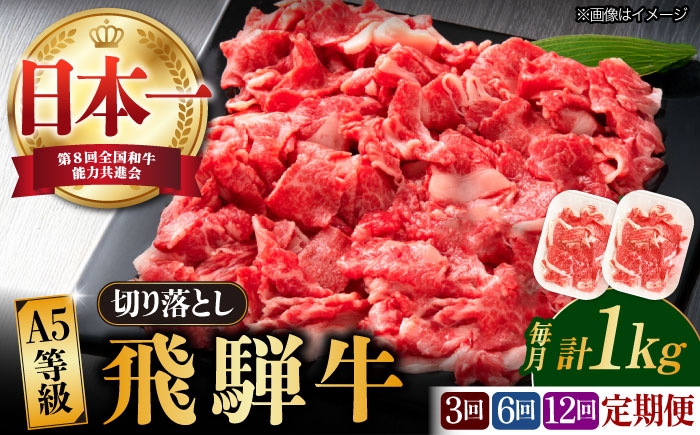 
            【選べる定期便回数】【飛騨牛】A5等級 切り落とし 1kg (3回/6回/12回) 和牛 ブランド牛 国産 牛肉 多治見市 / 渡辺精肉店 [TAZ015]
          