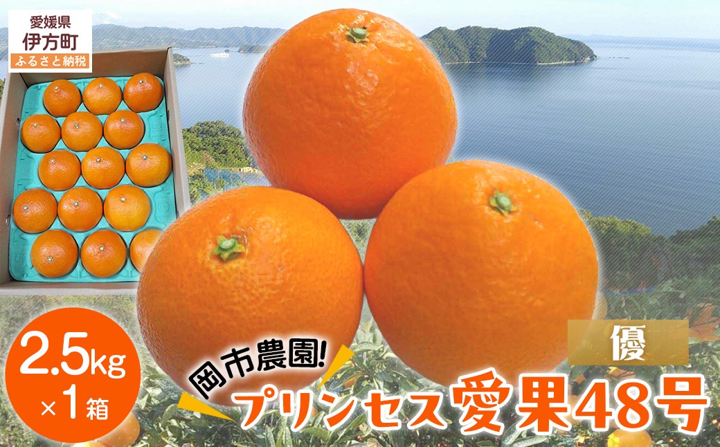 
                  【先行予約】【数量限定】【優】岡市農園！プリンセス愛果48号 約2.5kg（2027年2月下旬より順次発送）  【ふるさと納税 人気 おすすめ ランキング 柑橘 みかん ミカン 蜜柑 愛果48号 果物 フルーツ 産地直送 農園直送 岡市農園 愛媛県産 愛媛県 伊方町 送料無料】 IKTV012 
                