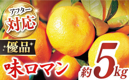 【優品】味ロマン 約5kg （約50-60個）ー2024年11月下旬より発送ー長与町/長崎西彼農業協同組合 長与支店 [EAH005] みかん ミカン みかん ミカン みかん ミカン みかん ミカン みかん ミカン みかん ミカン みかん ミカン みかん ミカン みかん ミカン みかん ミカン みかん ミカン みかん ミカン みかん ミカン みかん ミカン みかん ミカン みかん ミカン みかん ミカン みかん ミカン みかん ミカン みかん ミカン みかん ミカン みかん ミカン みかん ミカン みかん 