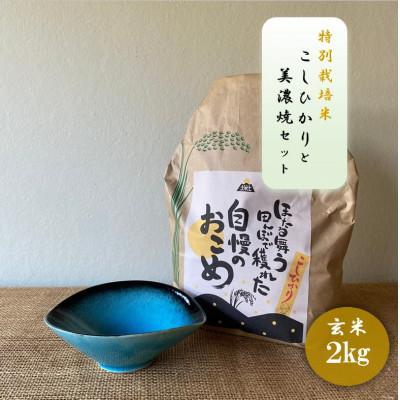 ふるさと納税 多治見市 【令和7年産:玄米】特別栽培米コシヒカリ(2kg)+【美濃焼】青輝貫入楕円小鉢(2個)