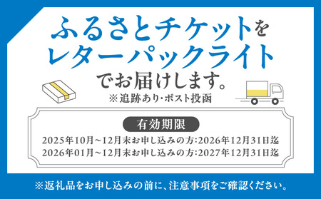 東京ジョイポリス　ペア(2名様分)デイパスポート