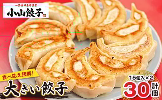 冷凍餃子専門店  小山餃子 大きい餃子 30個【1259608】