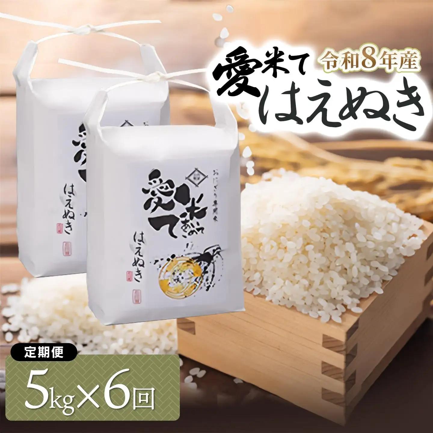 【令和8年産先行予約】【6ヶ月定期便】 はえぬき　精米 5kg×6ヶ月　山形県鶴岡市産　愛米て　| 米 こめ コメ 5キロ ブランド米 庄内米 ごはん ご飯 美味しい 国産 おにぎり 農家直送 おすすめ 人気 お取り寄せ 返礼品