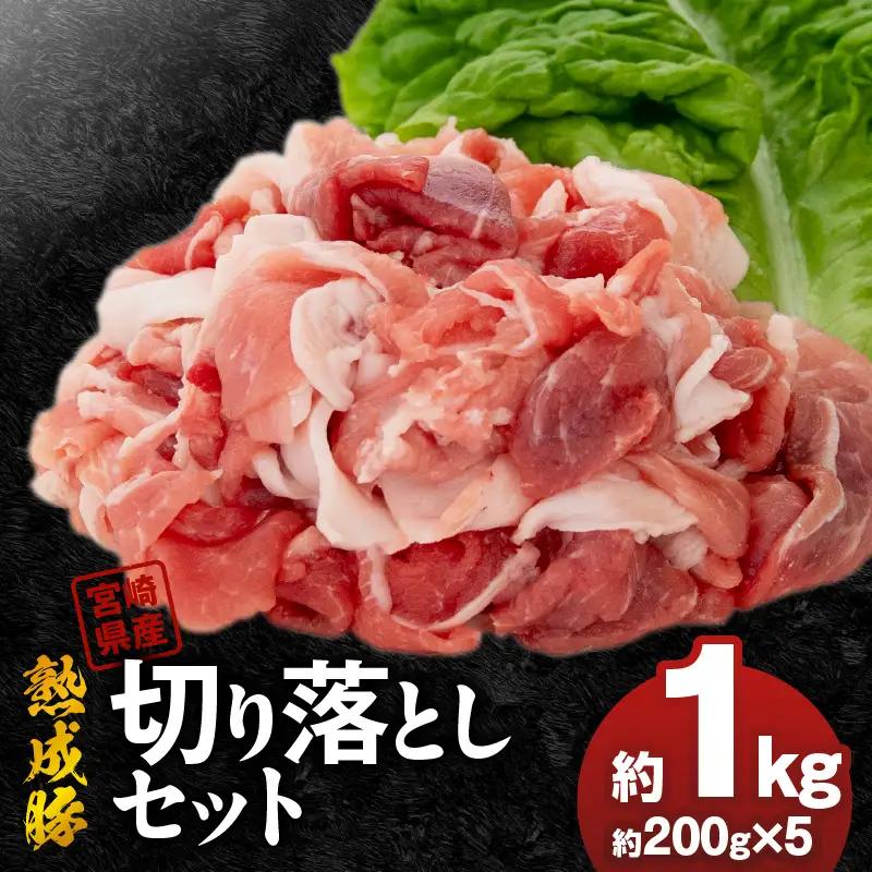 宮崎県産熟成豚 切り落としセット 約200g×5個 N0105-YA2280