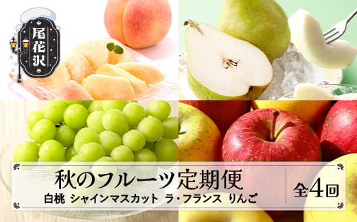 
            先行予約 全4回 山形 秋のフルーツ定期便 白桃 シャインマスカット ラ・フランス りんご 令和8年産 2026年産 山形県産 ns-ft4xx
          