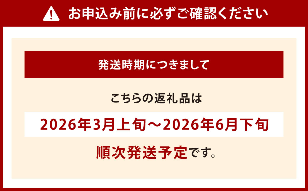 福岡県北九州市若松区産 若松濃縮トマト 約2.4kg 【1.2kg箱（15玉～30玉入り）×2箱】