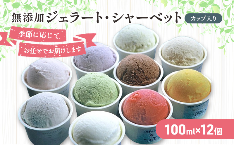 無添加 ジェラート・シャーベット詰合せ 100ml×12個 スイーツ アイスクリーム セット