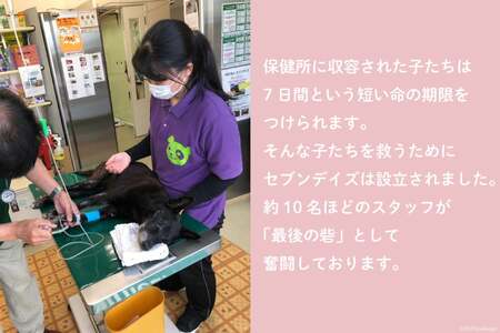 犬猫保護活動への支援【お礼の品なし】 [NPO法人セブンデイズ 福岡県 筑紫野市 21760726] 保護 動物 犬 猫 犬猫 保護犬 支援 応援