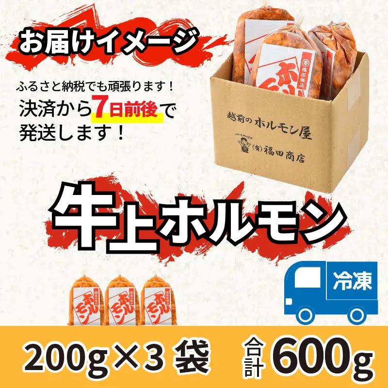 牛味噌 上ホルモン 200g×3袋（1～2人前×3袋） 計600g ＜絶品！炒めるだけ簡単！＞ ／ 価格下げました！ 味付け 肉 焼肉 BBQ バーベキュー もつ ホルモン 小分け おつまみ 冷凍 ア