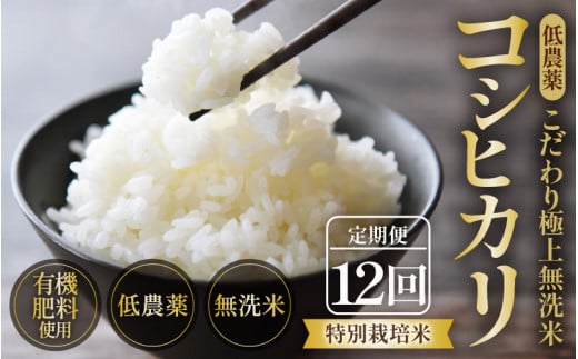 【先行予約】【令和7年産 新米】《定期便》5kg×12回 60kg 特別栽培米 コシヒカリ 無洗米 低農薬 《食味値85点以上！こだわり極上無洗米》 / 福井県 あわら 北陸 米 お米 人気 高品質 鮮度抜群 新米 ※2025年9月下旬より順次発送 [aw032-n001]