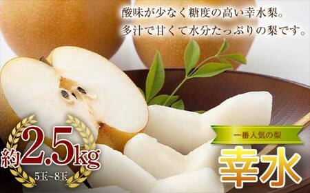 《2026年秋出荷》一番人気の梨 幸水 約2.5kg（5～8玉） F24R-118