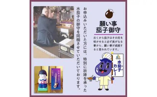 大阪産（おおさかもん）泉州水なすカレー 12箱 【御守つき】（レトルト 常温 簡単調理 レトルト食品 レトルトカレー かれー カレー カレールウ カレールウセット カレールー カレールーセット 人気カ
