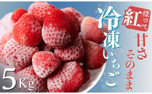 【予約受付_2025年2月以降】冷凍イチゴ5kg（2020年第31回静岡県いちご果実品評会入賞）　【 いちご 果物 フルーツ 苺 イチゴ 冷凍 果物 フローズン くだもの 大容量 静岡県産 期間限定 】　<T-8>