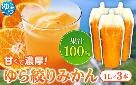 無添加 ストレート果汁！ みかんジュース 1L×3本【fmlb020】