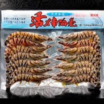 ふるさと納税 南九州市 殻ごと食べられる冷凍車海老　300gパック |  | 01