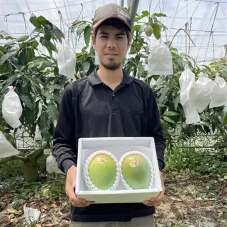 【先行受付・2026年8月から順次発送】仲本マンゴー園の幻のキーツマンゴー3kg(4～5玉)【配送不可地域：離島】【1572260】