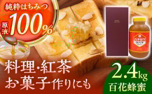 コハマのハチミツ 百花蜂蜜 2.4kg×1本 蜂蜜 はちみつ ハチミツ 国産 ギフト 沖縄市 / 農業生産法人株式会社小浜養蜂場 [BCAQ006]