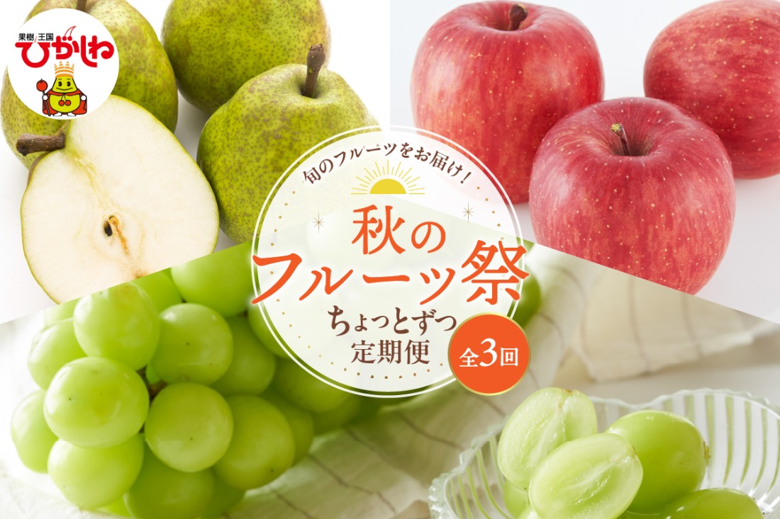 2025年産 秋のフルーツ祭 ちょっとずつ定期便！全3回(2025.10月スタート) 山形県 東根市 hi026-042-2