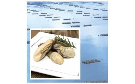 【無添加で安心！】 ピクルス2種詰め合わせ 広田湾産牡蠣＆茎わかめ ピクルス