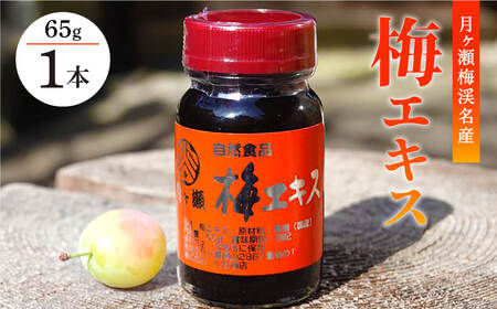 【梅エキス】65g 月ヶ瀬梅渓名産 梅 I-247