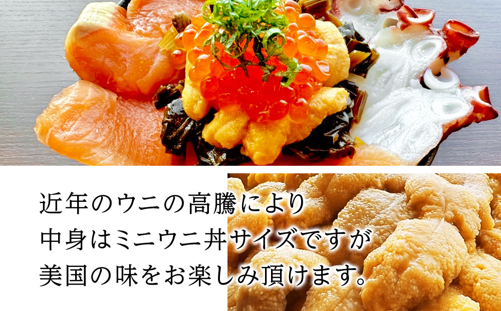 ANA限定【期間限定】美国産雲丹50g ミニウニ丼サイズ