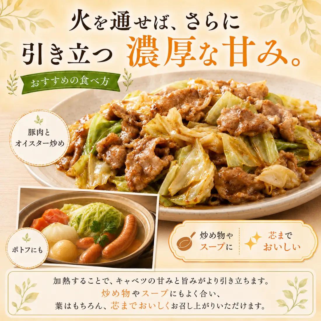 【2026年出荷分先行予約】富士山キャベツ　3kg