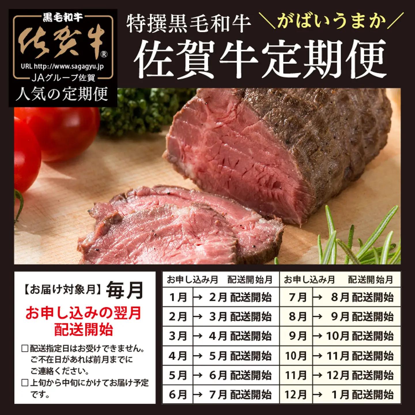 g-10【定期便12回】極上の佐賀牛 食べ比べ 毎月お届け 全12回 月替り 佐賀牛厳選 定期便