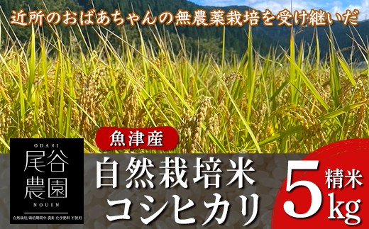 
                  【早期予約】【12ヶ月定期便】【令和8年度産米】尾谷農園 自然栽培米コシヒカリ 精米5kg ※2026年10月～発送
                